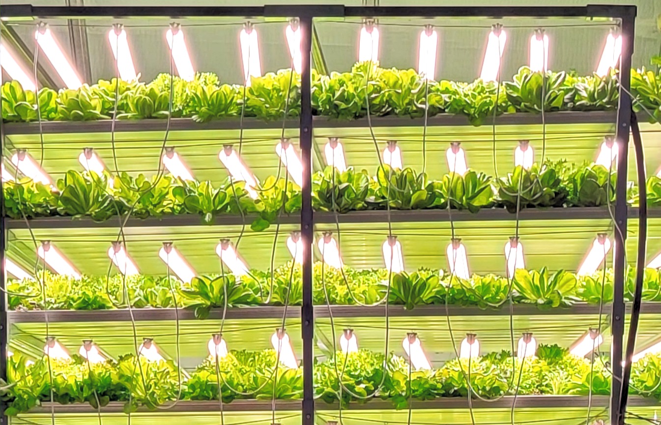 Shady Oaks vertical farm